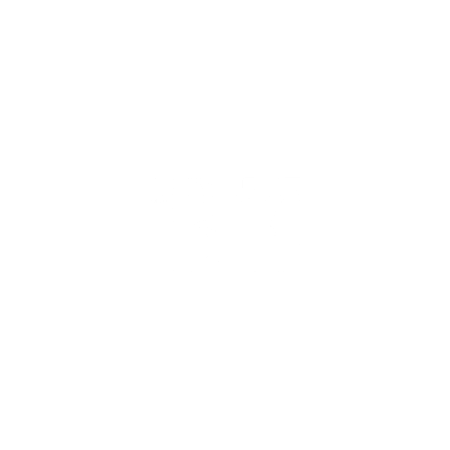 Belle Extensions