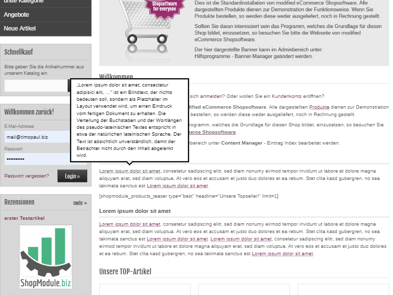 Lexikon-Modul für Fachbegriffe 2